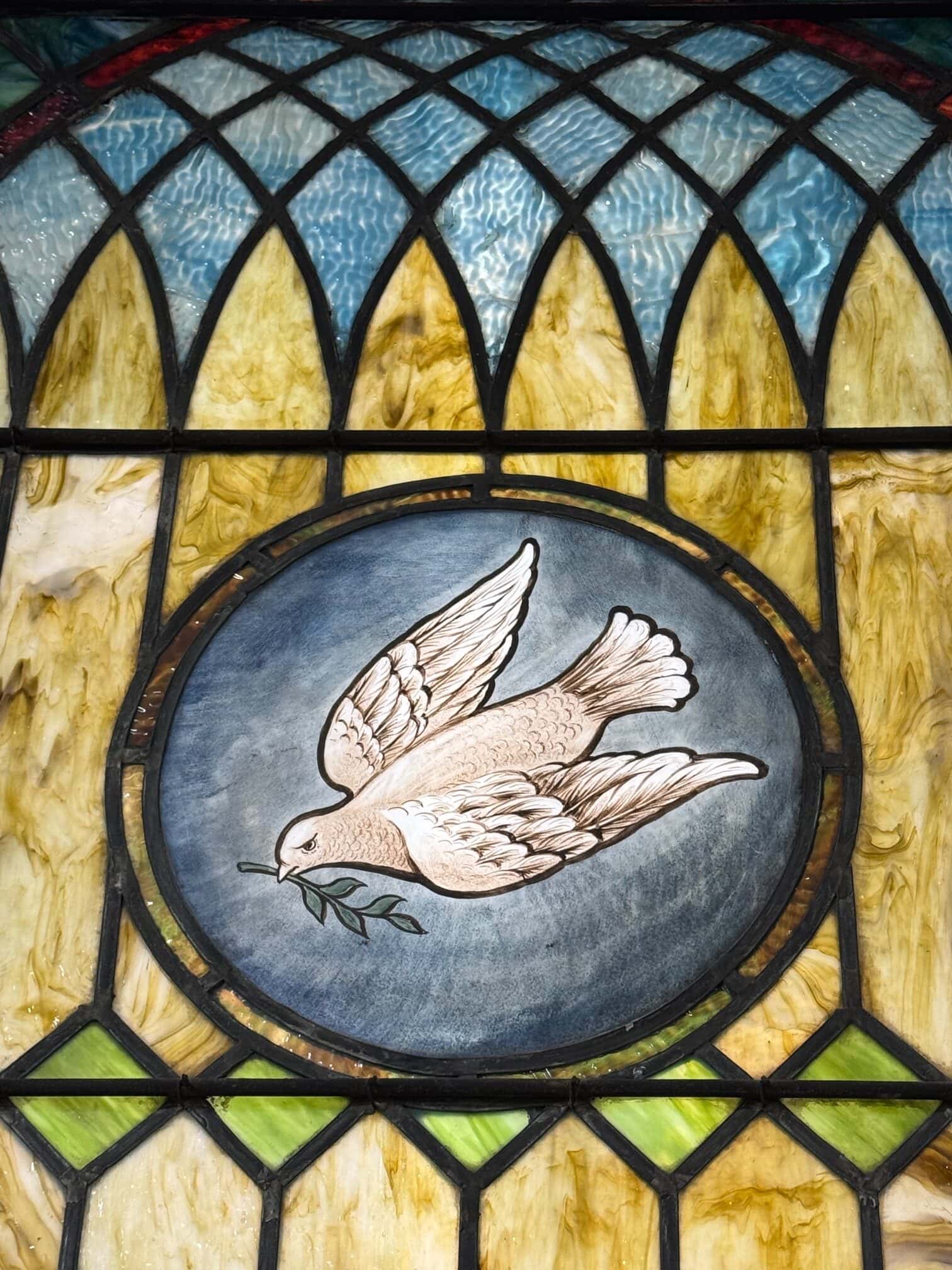 dove