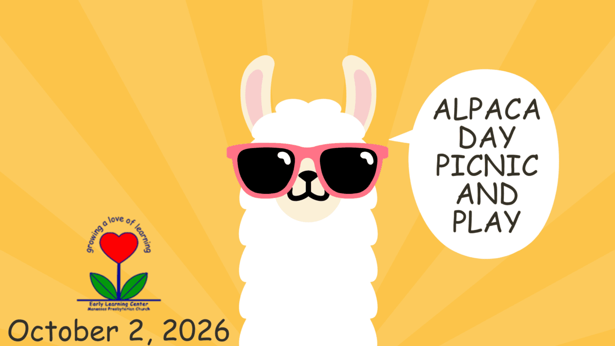 Slide - Alpaca Day